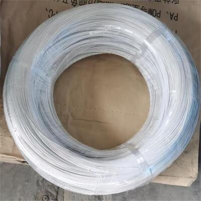 Wit 0,8 mm 0,9 mm Groothandel Hoge kwaliteit BH draad Nylon bekleed BH zwembroek draad
